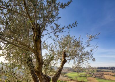 Podere Santa Vetturina Exteriors