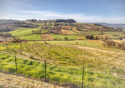 Podere Santa Vetturina Exteriors