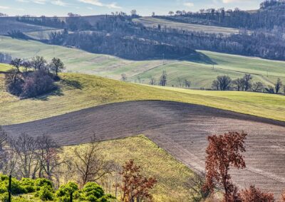 Podere Santa Vetturina Exteriors